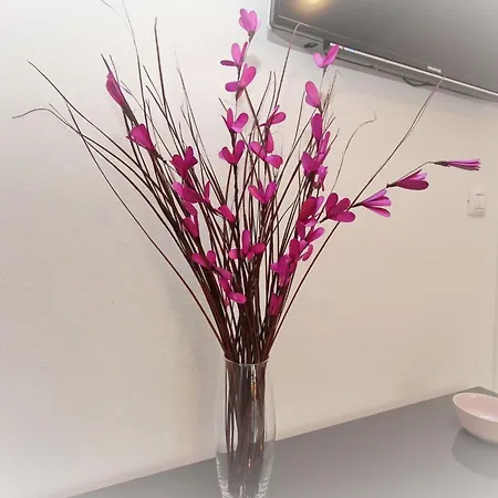 In Mit Eigenem Balkon By Interhome 아파트 바슈카